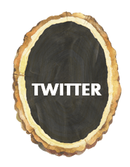 twitter wood sliver