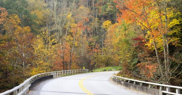 Best Scenic Drives in Tennessee