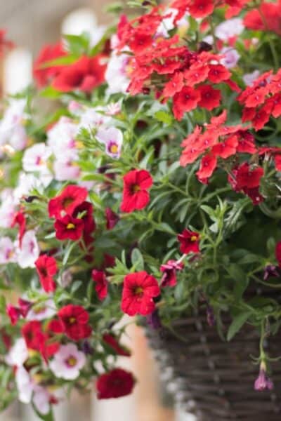 4 Ways to Spruce Up Your Garden This Summer