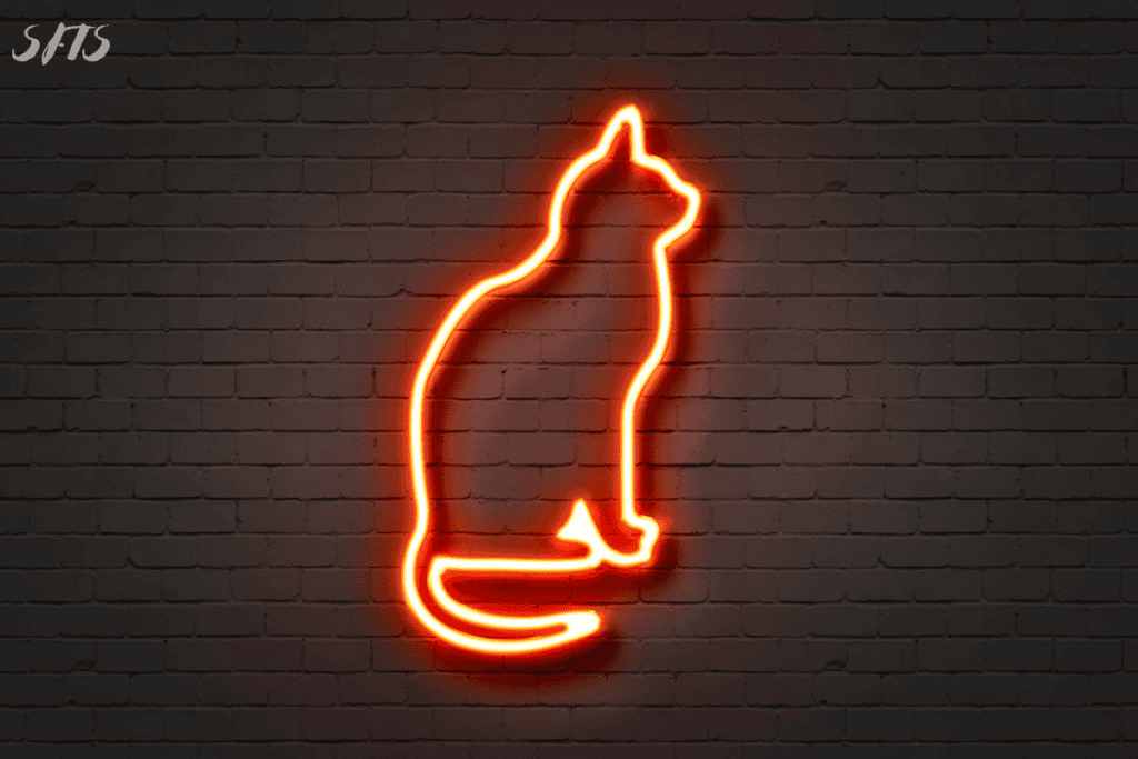 A cat neon sign.
