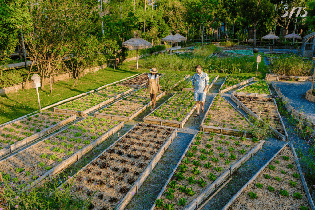 An image of a man and a woman surrounded by raised garden beds.
