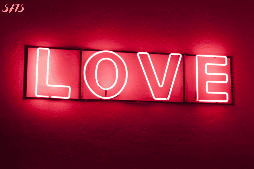 An image of a LOVE neon sign.